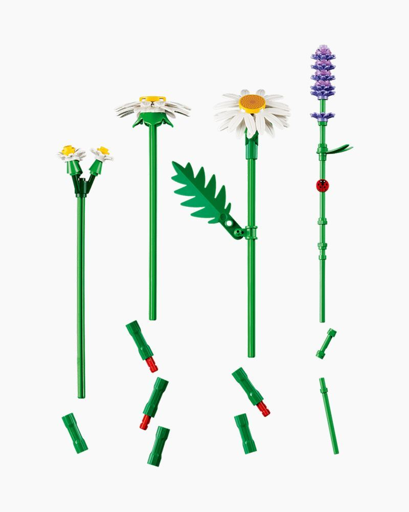 LEGO® Botanicals™ Daisies - 11508 | LEGO | Uncharted