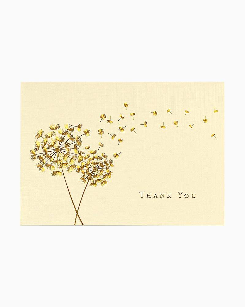 thumbnail image 2 of 10 Boxed Note Cards & Envelopes - 14382 2 of 13