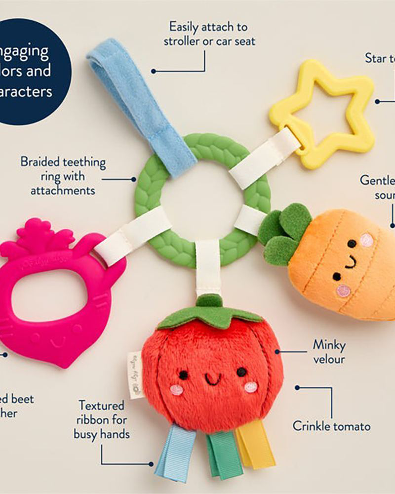 Veggie Bitzy Busy Ring™ Teething Activity Toy | Quintessential Tots LLC DBA  I