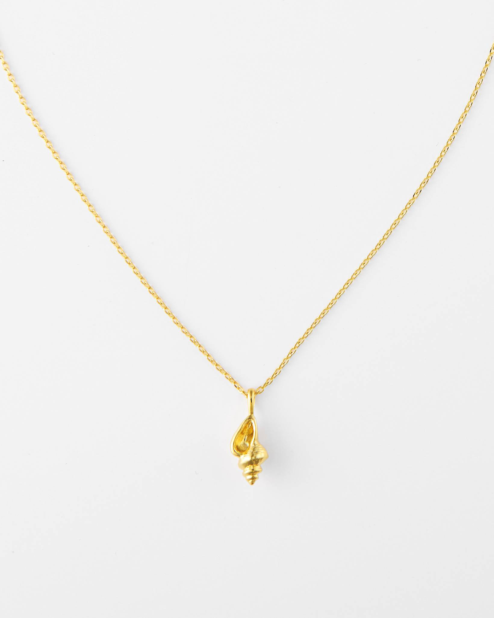 Small Seashell Pendant Necklace in Gold | Uncharted Threads | The Paper ...