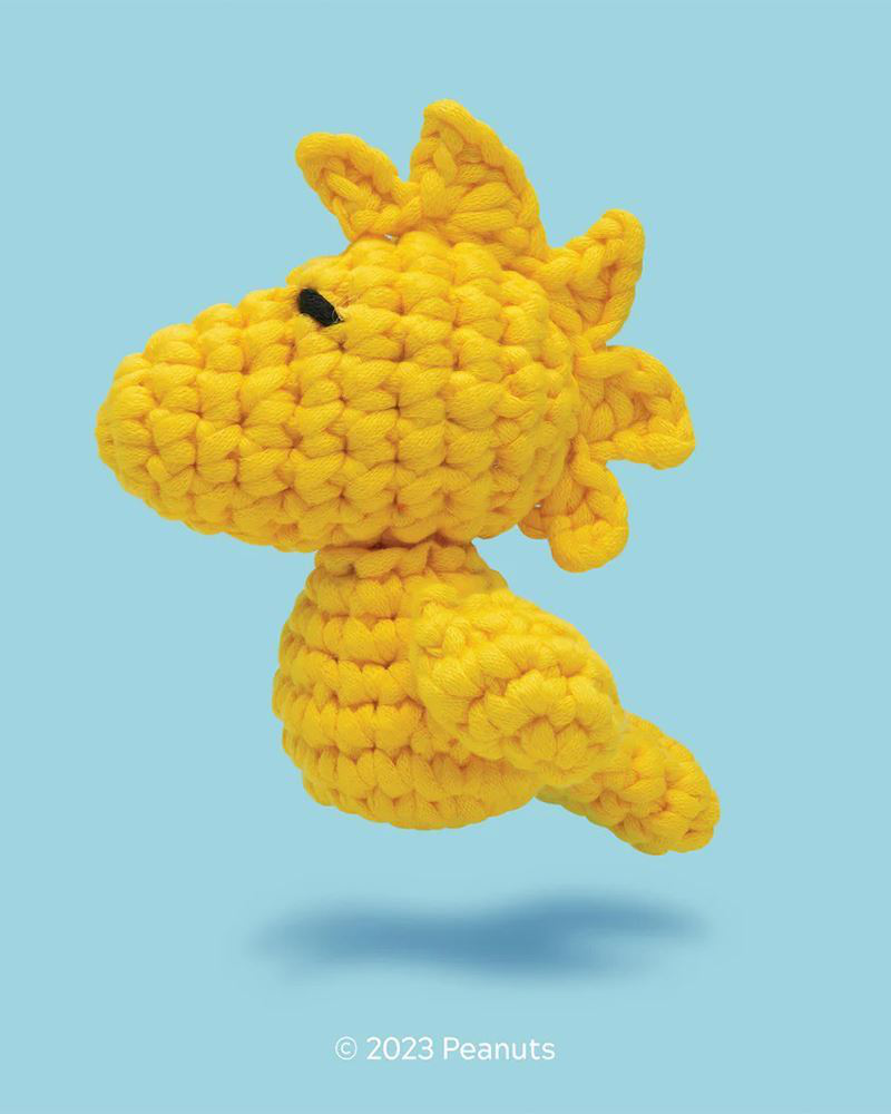Woobles Beginner Crochet Kit Woodstock