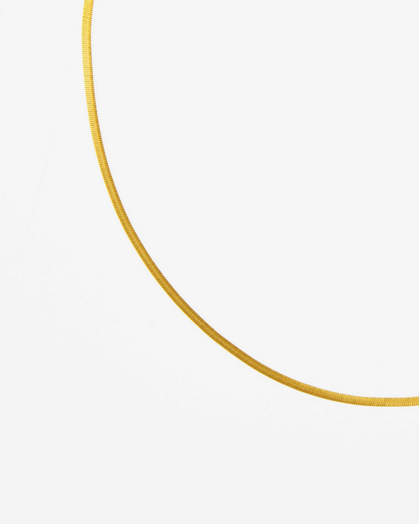 Slim Herringbone Chain Necklace in Gold | Uncharted Threads | The Paper ...