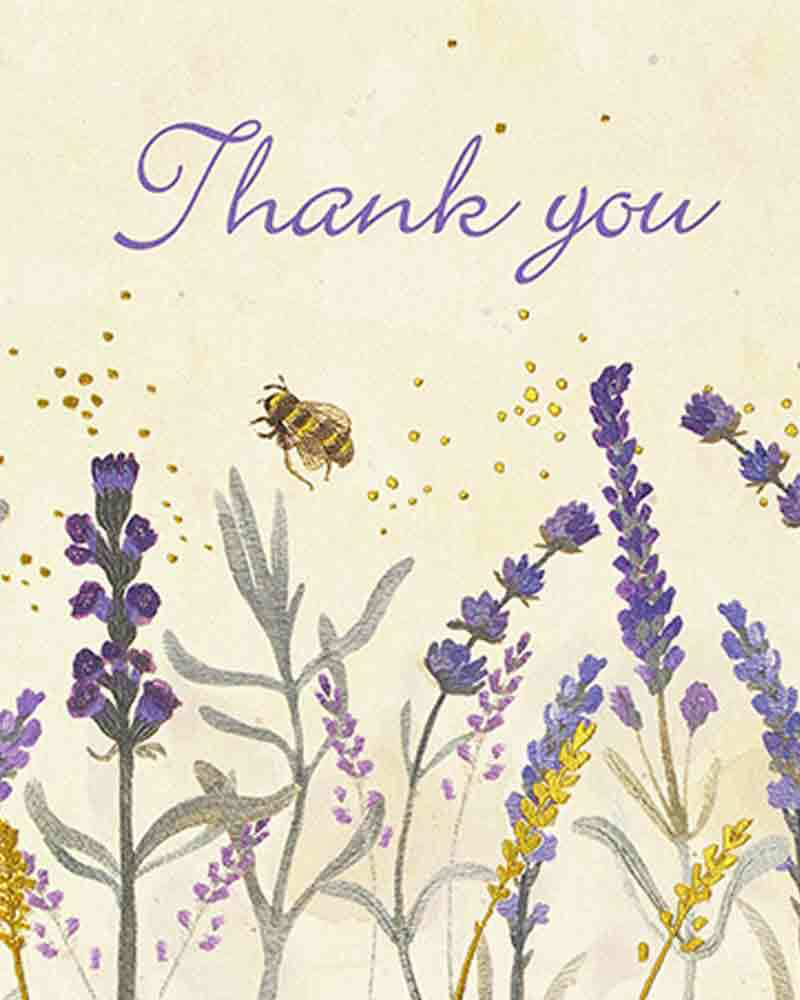 Thank You Notes - Lavender & Honey by Inc Peter Pauper Press