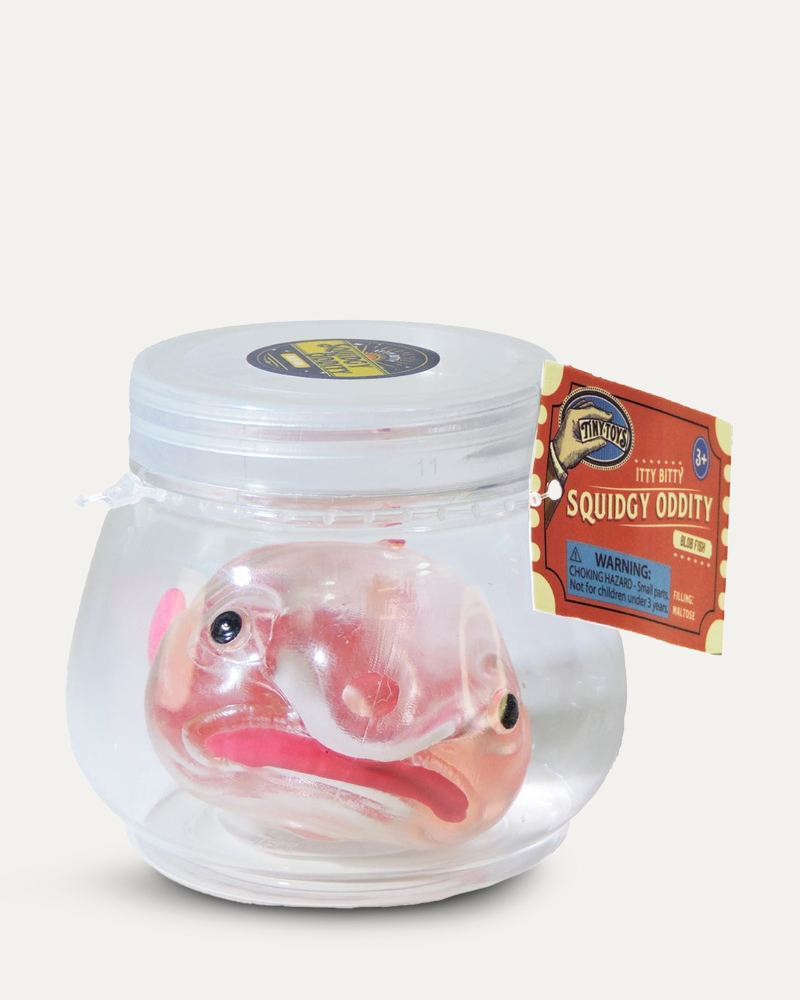 Itty Bitty Squidgy Oddity Blob Fish Squish Toy | Toysmith | The Paper Store