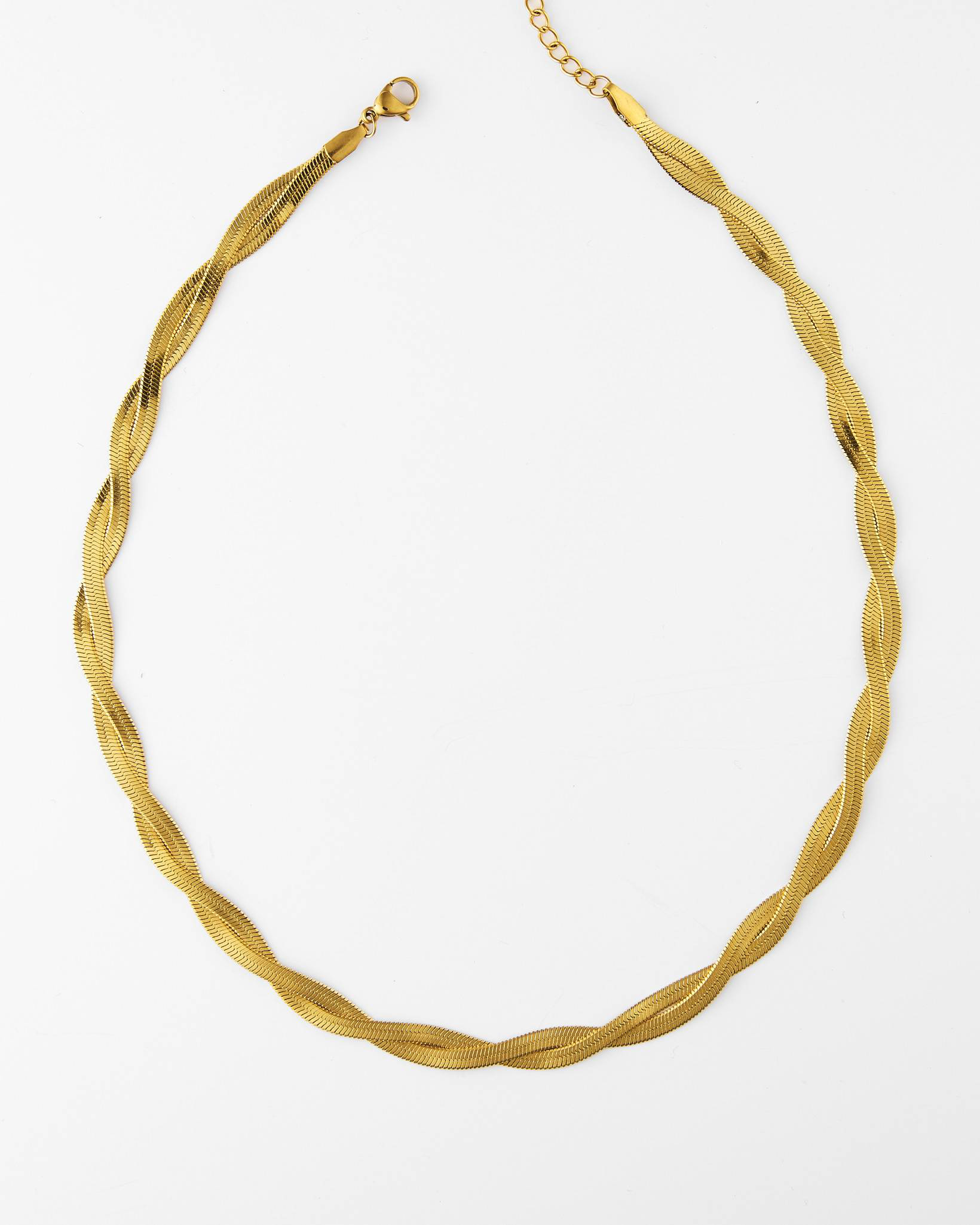 Twisted Snake Chain Necklace main image 1