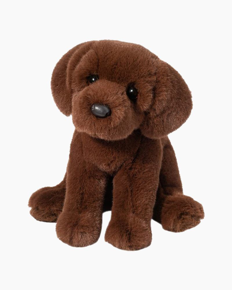 Zoom Chocolate Lab Plush Toy | Douglas | The Paper Store