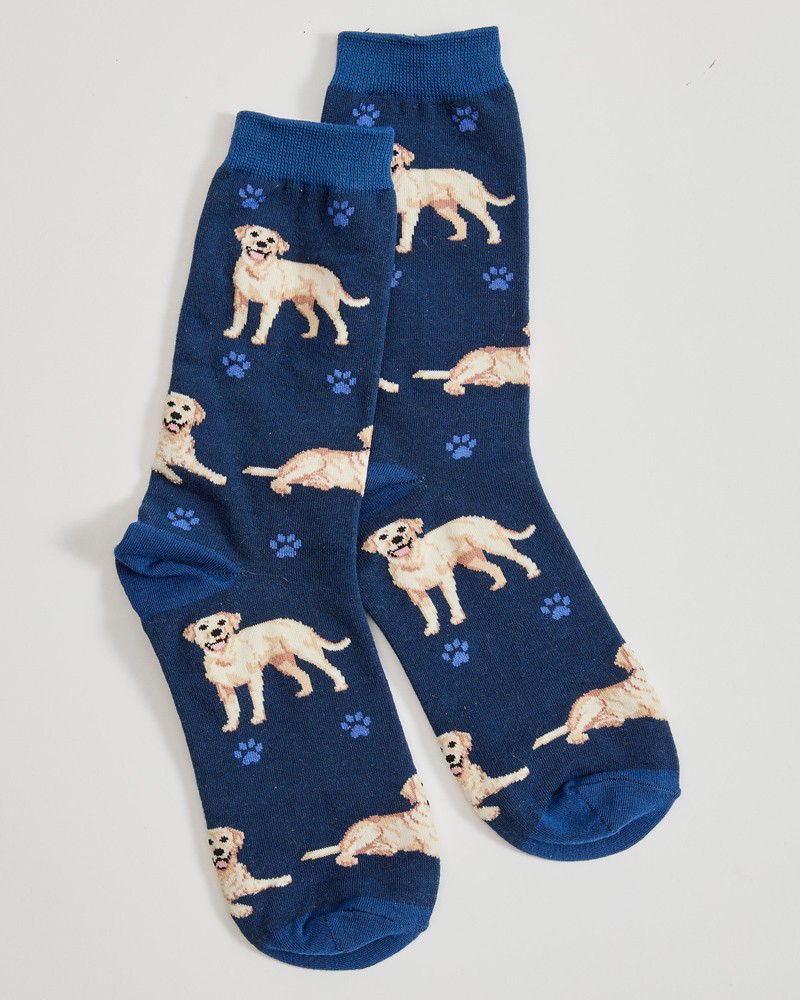 Yellow Labrador Happy Tails Socks | E&S Imports | The Paper Store