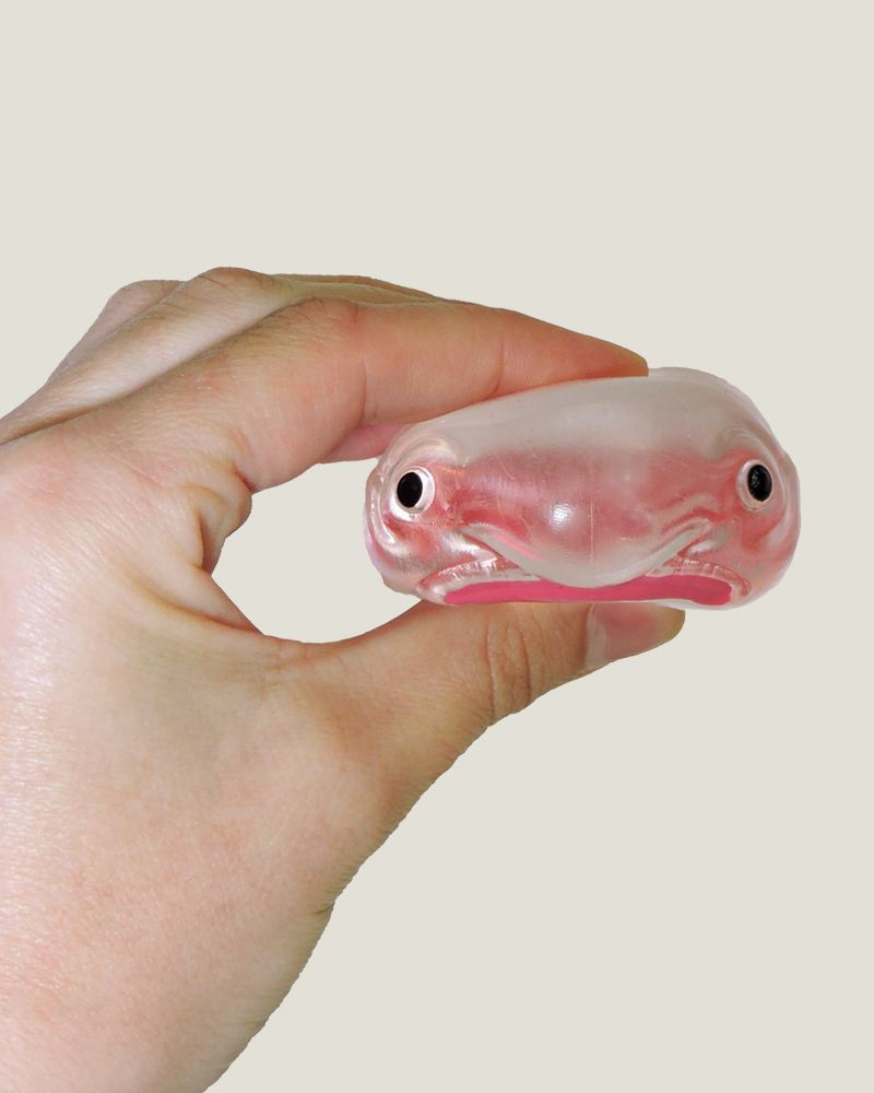 Itty Bitty Squidgy Oddity Blob Fish Squish Toy | Toysmith | The Paper Store