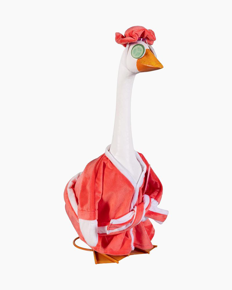 Spa Time Porch Goose Outfit