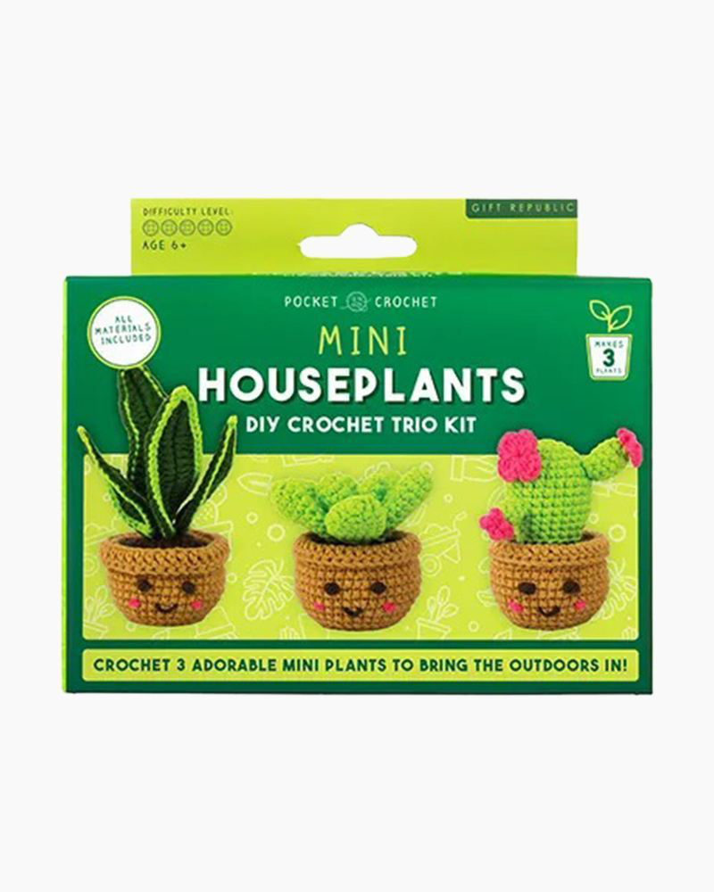 casting plants Cast Iron Plant（Aspidistra chunxiuensis） main image 0